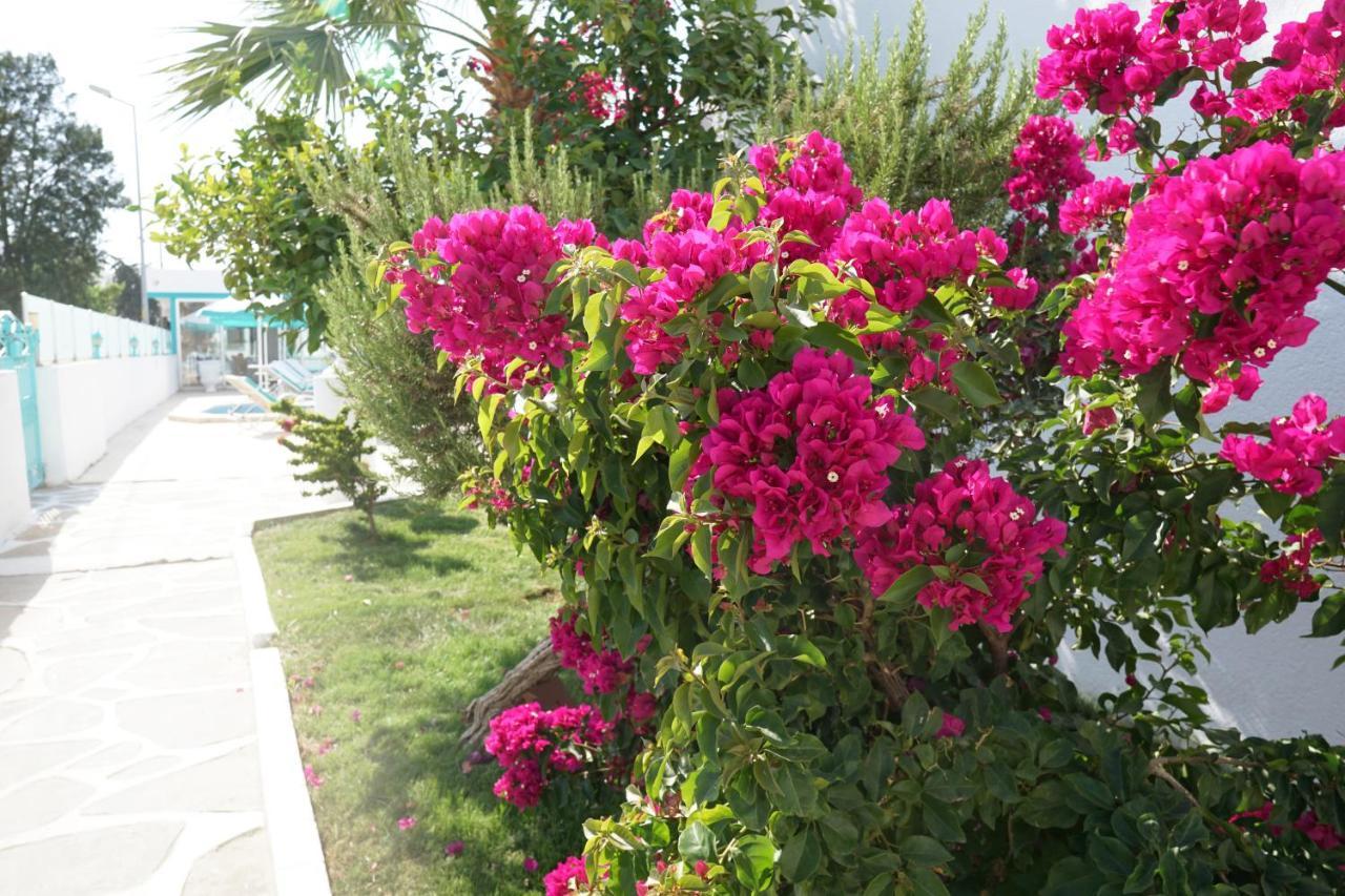 Casa Aria Hotel Gümbet Buitenkant foto