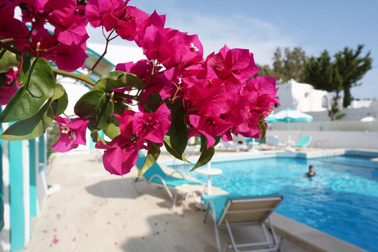 Casa Aria Hotel Gümbet Buitenkant foto