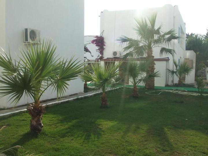 Casa Aria Hotel Gümbet Buitenkant foto